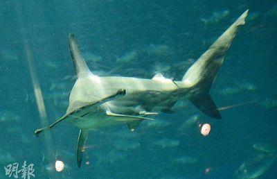 ��ۺ��󹫈@6�l�N�^�����������(j��ng)ϵ�y(t��ng)��Ⱦ