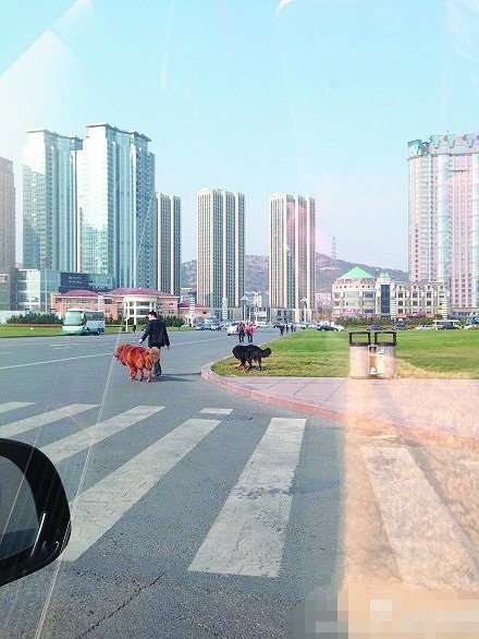 ���ӏV���ރɲ���һֻ�]˩�K ·���h(yu��n)�h(yu��n)���_