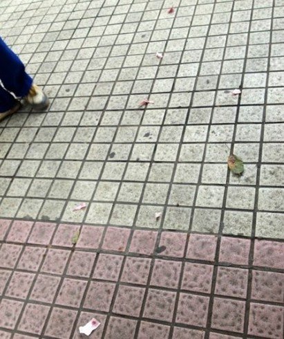 ���Ӿܽ�4Ԫͣ܇�M(f��i)ŭ�Ᵽ�� ��(d��ng)��˺���Ԫ�nƱ