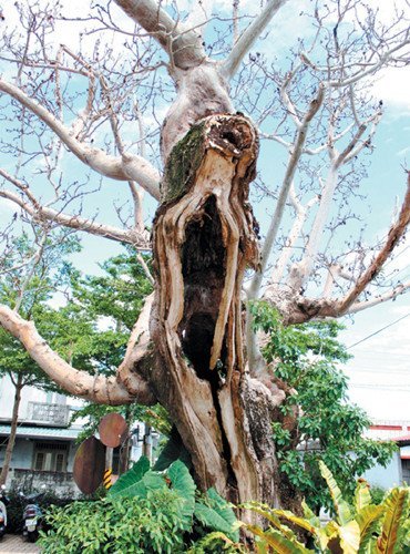 �_��һ�����Ϙ䱻�x����������吶�������D��