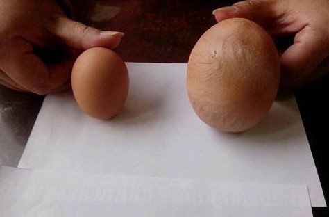 ����һ�u��(ch��ng)�l(f��)�F(xi��n)180�����u�� ������˹�o(j��)�(�D)