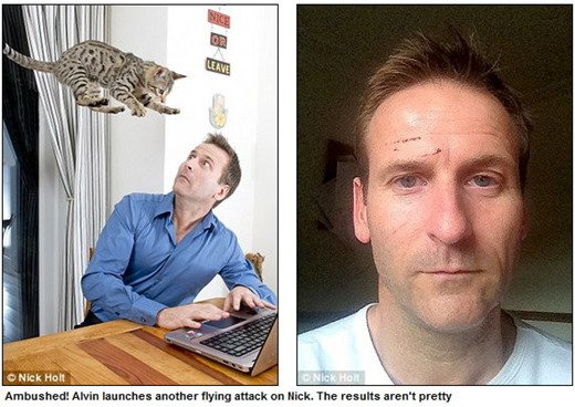 ��؈ֻ��Ů���ˌ�(du��)����������h��ץĘ�桰�ұ���