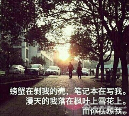 ���������������W(w��ng)�j(lu��)�߼t �W(w��ng)�Ѡ���ģ��(�D)