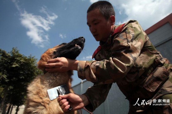 ���磬�Y����龯Ȯ�ڱ�����ë�l(f��)��