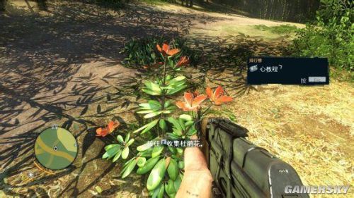 �����ǿ�