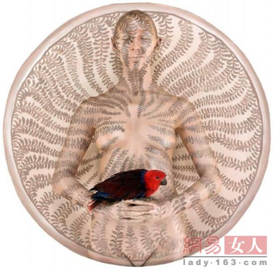 ���wˇ�g(sh��):�������w���r������ʢ�玧�����w֮������(���D)