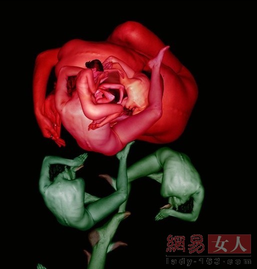 ���wˇ�g(sh��):�������w���r������ʢ�玧�����w֮������(���D)