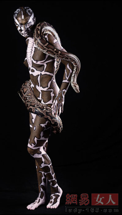 ���wˇ�g(sh��):�������w���r������ʢ�玧�����w֮������(���D)