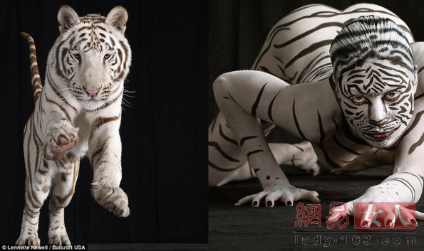 ���wˇ�g(sh��):�������w���r������ʢ�玧�����w֮������(���D)