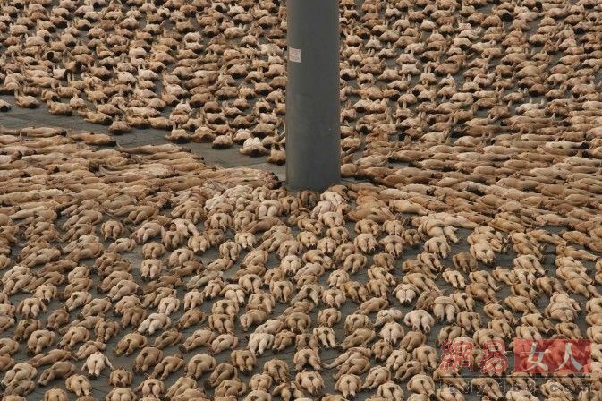 ���wˇ�g(sh��):�������w���r������ʢ�玧�����w֮������(���D)