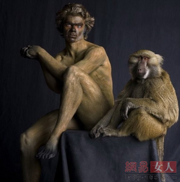 ���wˇ�g(sh��):�������w���r������ʢ�玧�����w֮������(���D)