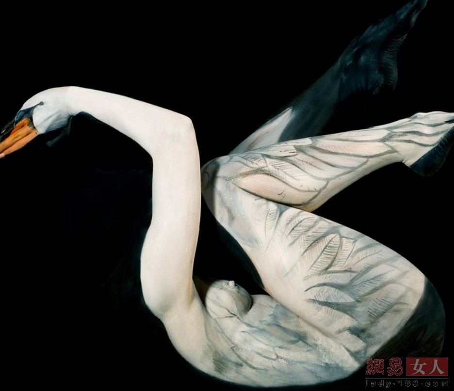 ���wˇ�g(sh��):�������w���r������ʢ�玧�����w֮������(���D)