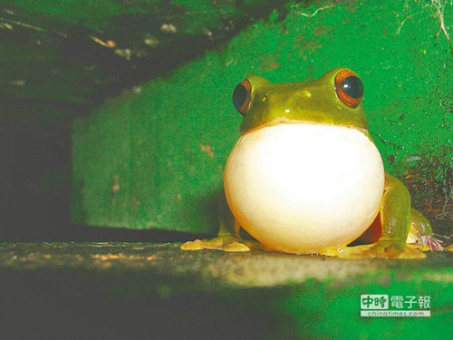 �뿴ȫ�_(t��i)��С؈�^�����_(t��i)��������ٿƽ��أ��D��