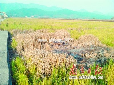 ��լ�岿�ֵ����Ƭ�������