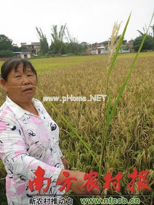 �d�����ˮ�������x��(z��i)��