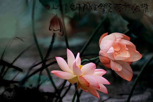 ����10&mdash;12�����\(y��n)��(sh��)