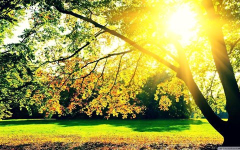 12����һ�ܽ����\1027-1102