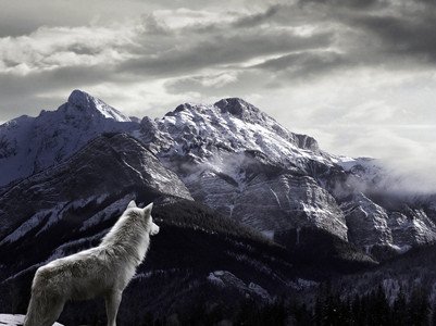 ������һ�������\(y��n)��(sh��)