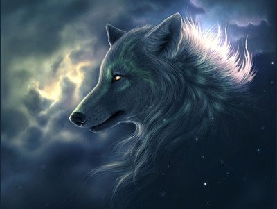 ������һ�������\(y��n)��