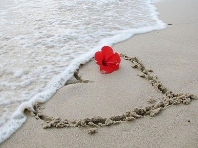 12�ǵĐ��鱣�r�E�[