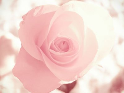 �������˽�������^