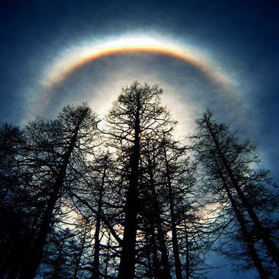 ���ң�2013��11���°�����Ҫ���󲥈�