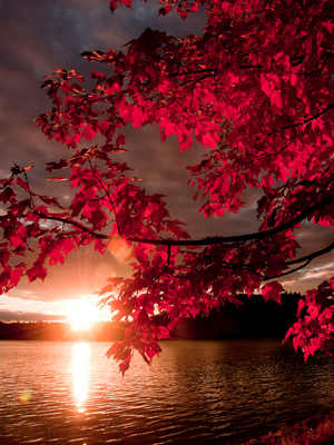 ����11�����γ����\