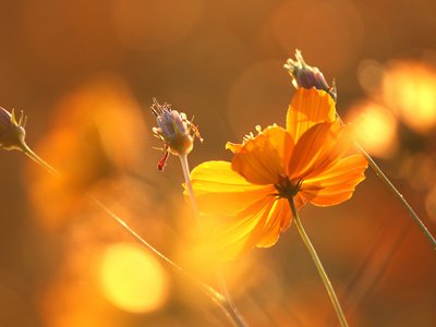 12����2013��11���\(y��n)