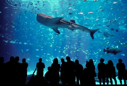 12����ÿ�����γ����\(y��n)1027-1102