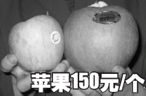 �O��150Ԫ/���F(xi��n)���|�� ̖�Q��������O��(�D)