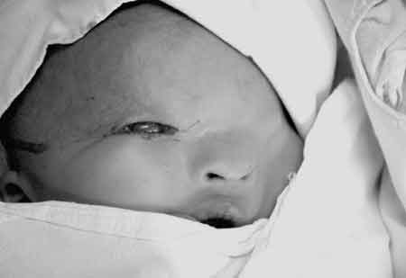 �������g(sh��)���С��