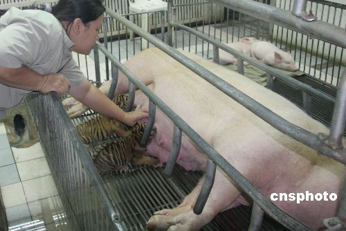 �^���ο͇Lԇ�o�iιʳ��