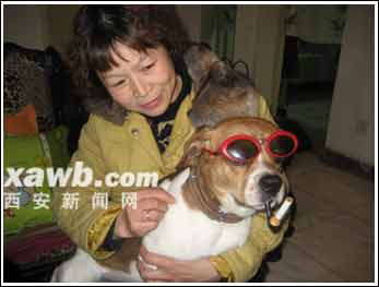 ��С���������衱 �S���֙C���С�{(�D)