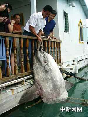 �D��O�񲶫@�Ĺ��~�����ߣ�����