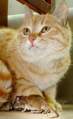 ؈���u�����ˁ��ˣ���غ���(�O(sh��)Ӌ(j��)�_(t��i)�~)