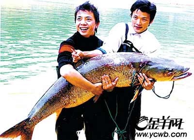 �O�����f�G�����@��һ�l�ش����~���Y�ψDƬ��