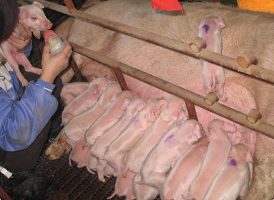 �����r(n��ng)������ĸ�iһ̥25�� �Ʈ�(d��ng)?sh��)����ӛ�?�D)