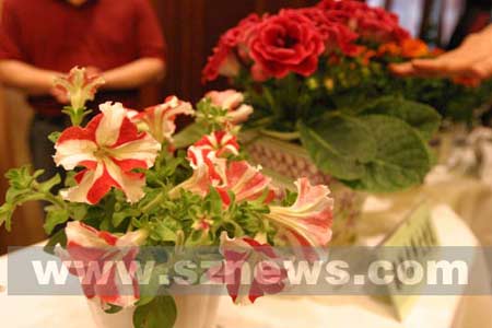 ����������̫�����ɫ�l�yȫ׃��