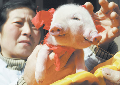 �����м��i�����p���i���� �ɏ�����ֻ�۾�(�D)