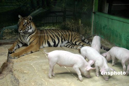 ̩��(gu��)���c�i������̎�����˷Q����