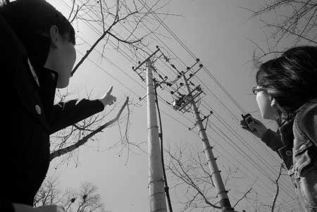 �°l(f��)���c(di��n)