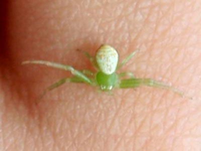 ������֩�롱